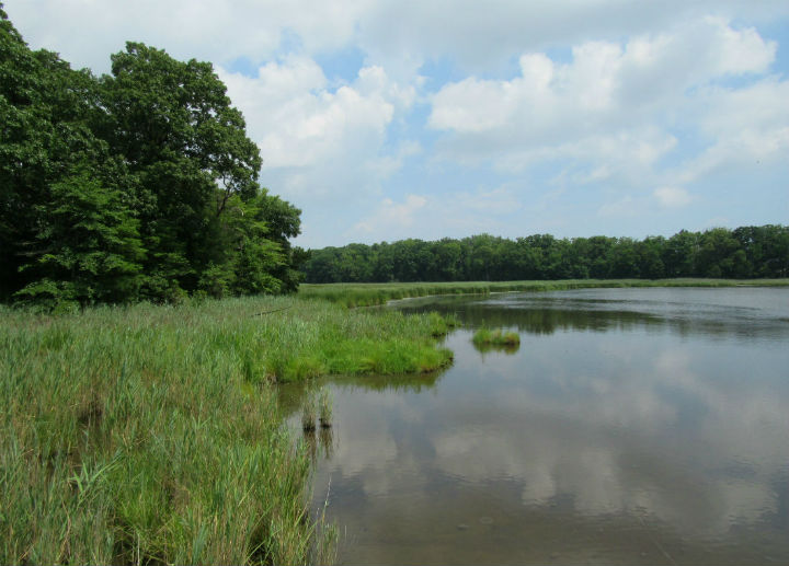 Nature Preserve